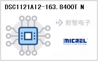 DSC1121AI2-163.8400T N