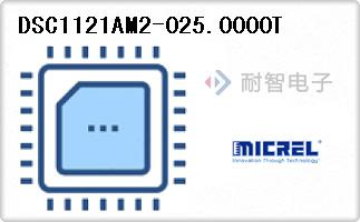 DSC1121AM2-025.0000T