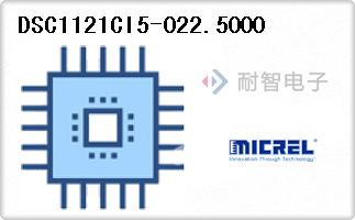DSC1121CI5-022.5000