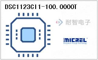DSC1123CI1-100.0000T