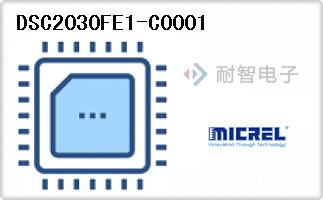 DSC2030FE1-C0001