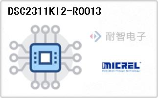DSC2311KI2-R0013代理
