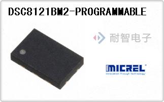 DSC8121BM2-PROGRAMMA