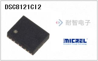 DSC8121CI2