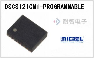 DSC8121CM1-PROGRAMMA