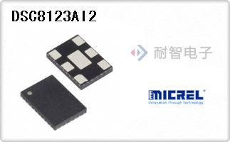 DSC8123AI2