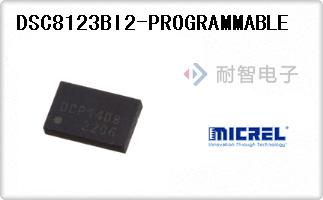 DSC8123BI2-PROGRAMMA