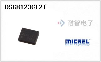 DSC8123CI2T