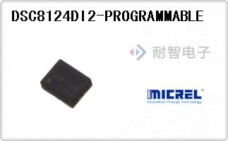 DSC8124DI2-PROGRAMMABLE