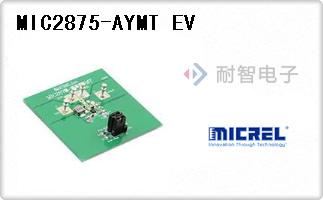 MIC2875-AYMT EV