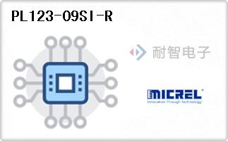 PL123-09SI-R