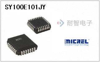 SY100E101JY