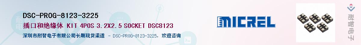 DSC-PROG-8123-3225Ӧ-ǵ