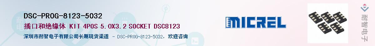 DSC-PROG-8123-5032Ӧ-ǵ