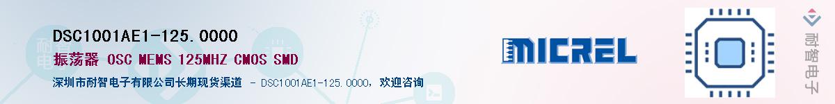 DSC1001AE1-125.0000Ӧ-ǵ