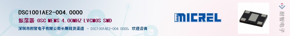 DSC1001AE2-004.0000Ӧ-ǵ