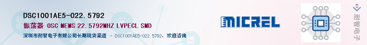 DSC1001AE5-022.5792Ӧ-ǵ