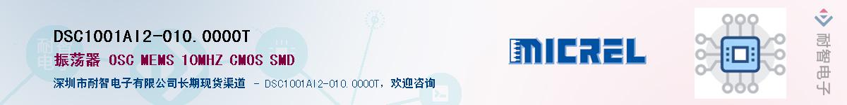 DSC1001AI2-010.0000TӦ-ǵ