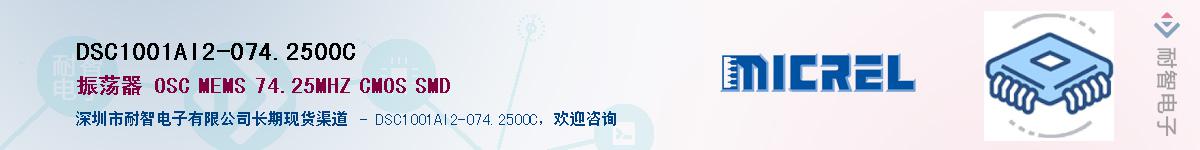 DSC1001AI2-074.2500CӦ-ǵ