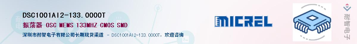 DSC1001AI2-133.0000TӦ-ǵ