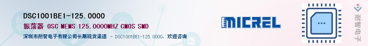 DSC1001BE1-125.0000Ӧ-ǵ