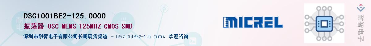 DSC1001BE2-125.0000Ӧ-ǵ