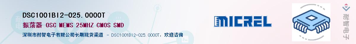 DSC1001BI2-025.0000TӦ-ǵ