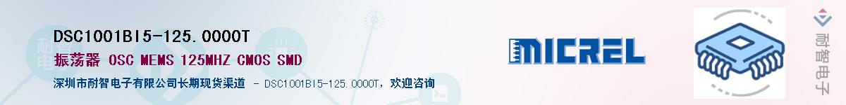 DSC1001BI5-125.0000TӦ-ǵ