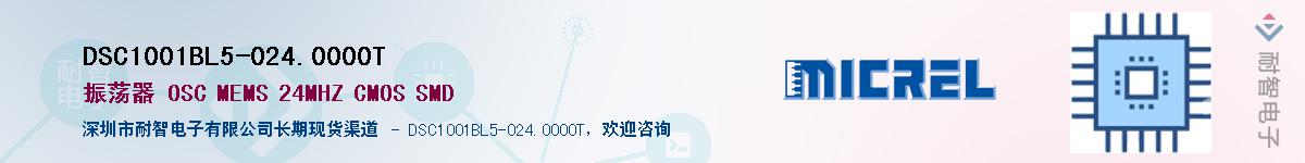 DSC1001BL5-024.0000TӦ-ǵ