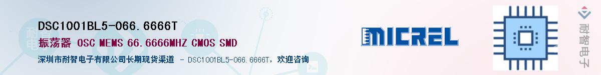 DSC1001BL5-066.6666T��Ӧ��-���ǵ���