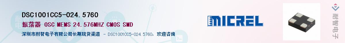 DSC1001CC5-024.5760Ӧ-ǵ