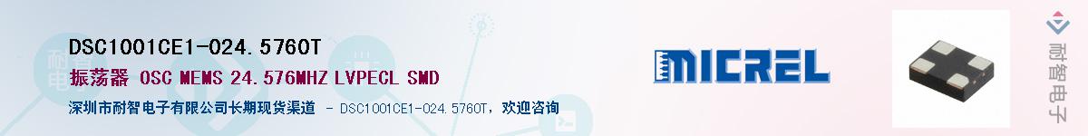 DSC1001CE1-024.5760TӦ-ǵ