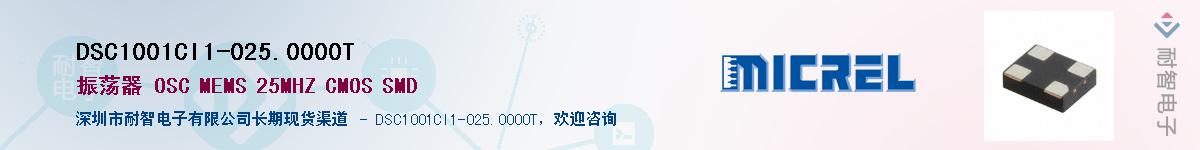 DSC1001CI1-025.0000TӦ-ǵ