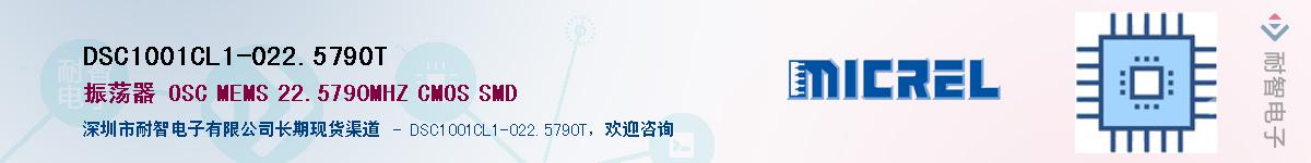 DSC1001CL1-022.5790TӦ-ǵ