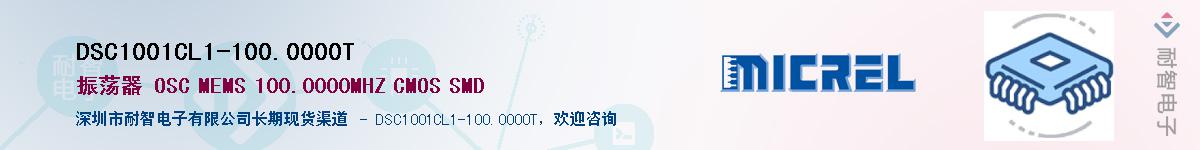 DSC1001CL1-100.0000TӦ-ǵ