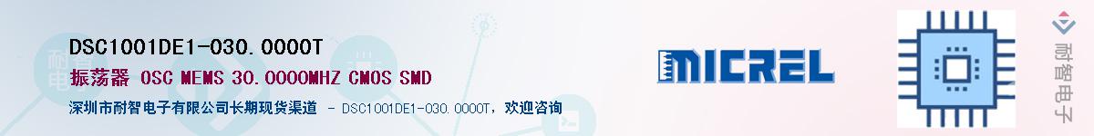 DSC1001DE1-030.0000TӦ-ǵ