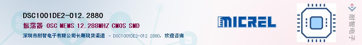 DSC1001DE2-012.2880Ӧ-ǵ