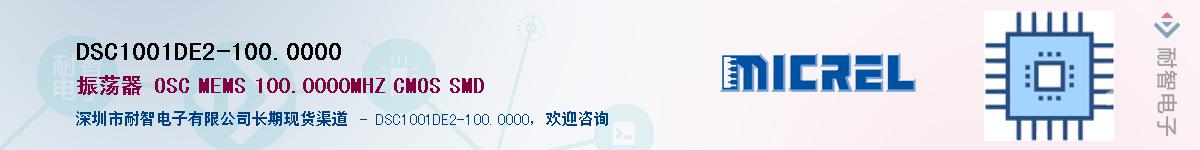 DSC1001DE2-100.0000Ӧ-ǵ