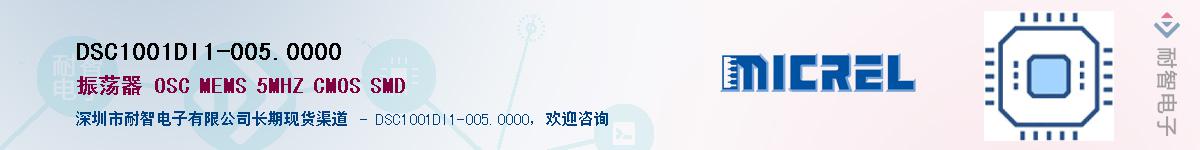 DSC1001DI1-005.0000��Ӧ��-���ǵ���