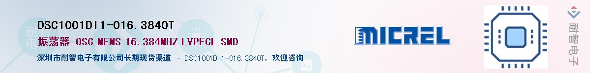 DSC1001DI1-016.3840TӦ-ǵ