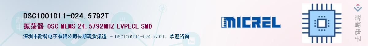 DSC1001DI1-024.5792TӦ-ǵ