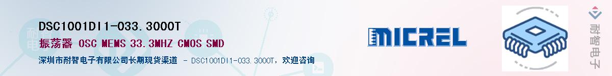 DSC1001DI1-033.3000T��Ӧ��-���ǵ���