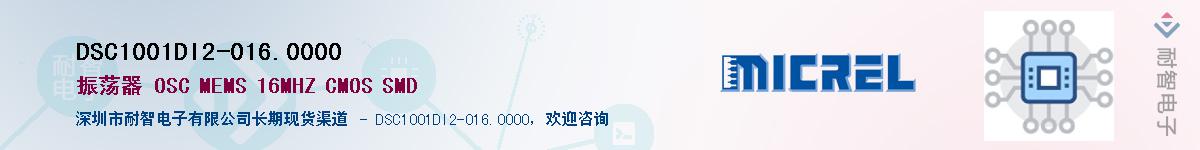 DSC1001DI2-016.0000Ӧ-ǵ