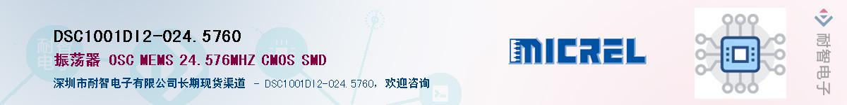 DSC1001DI2-024.5760Ӧ-ǵ