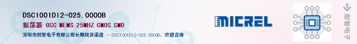 DSC1001DI2-025.0000BӦ-ǵ