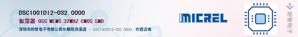 DSC1001DI2-032.0000��Ӧ��-���ǵ���