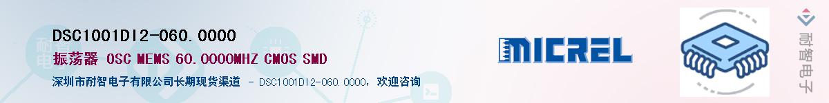 DSC1001DI2-060.0000��Ӧ��-���ǵ���