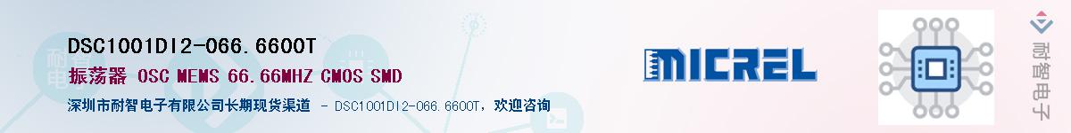 DSC1001DI2-066.6600T��Ӧ��-���ǵ���