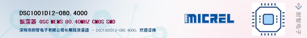 DSC1001DI2-080.4000Ӧ-ǵ