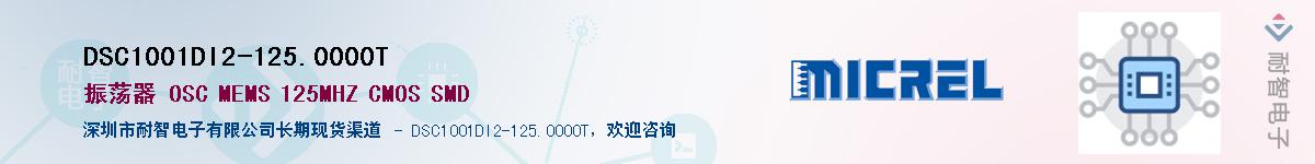 DSC1001DI2-125.0000TӦ-ǵ